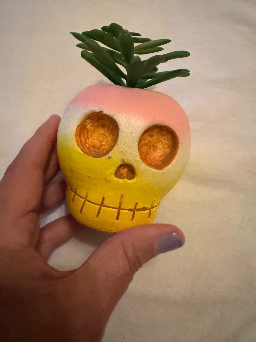 N/A charming skull